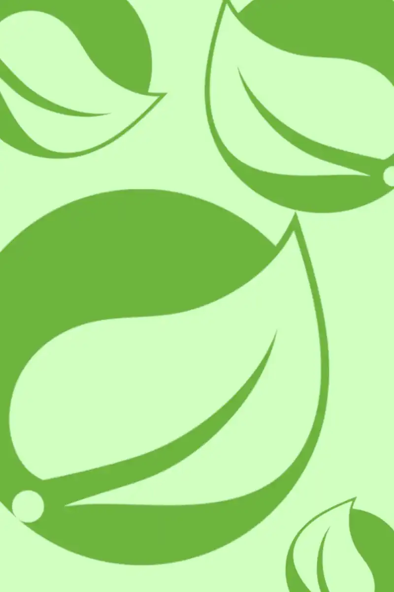 Spring Boot project